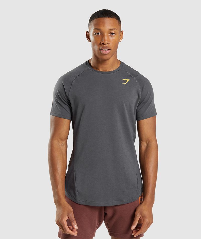 Men's Gymshark Bold T-Shirts Grey | USA  0498-UTKFV