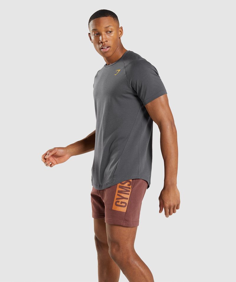 Men's Gymshark Bold T-Shirts Grey | USA  0498-UTKFV