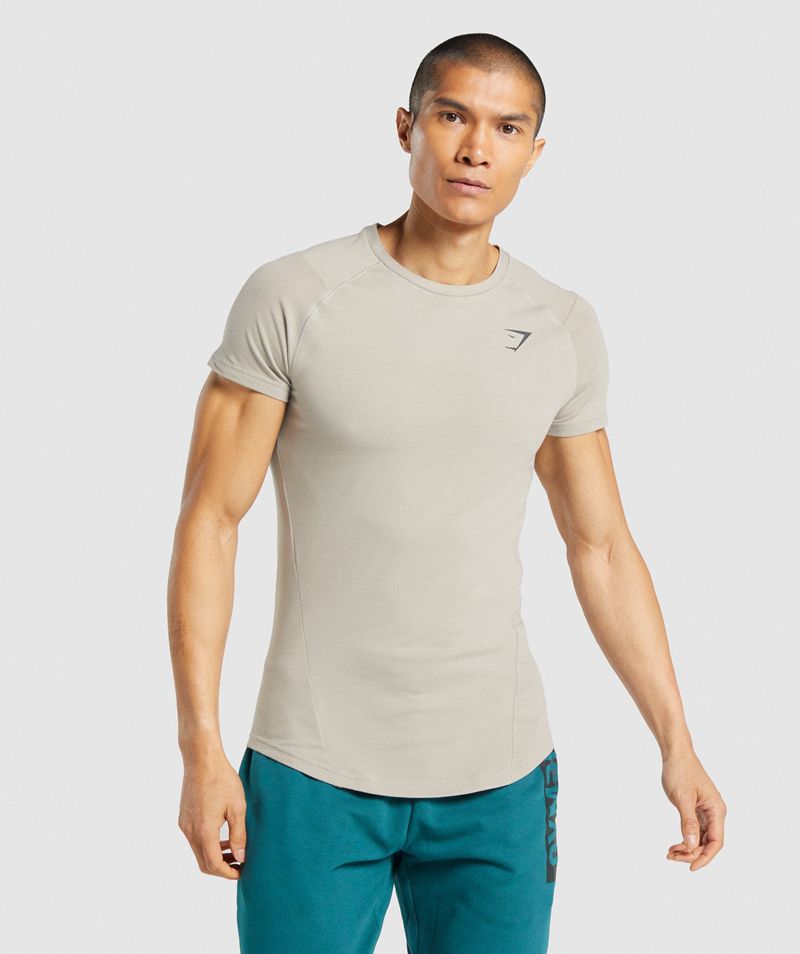 Men's Gymshark Bold T-Shirts Grey | USA  1048-LZXFW