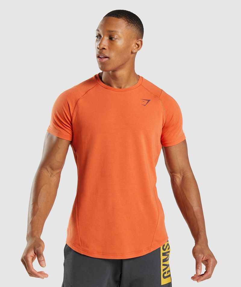 Men's Gymshark Bold T-Shirts Orange | USA  2381-SBKTA