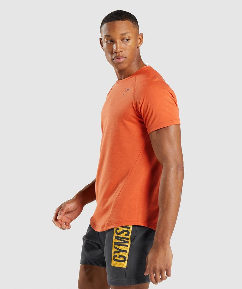 Men's Gymshark Bold T-Shirts Orange | USA  2381-SBKTA