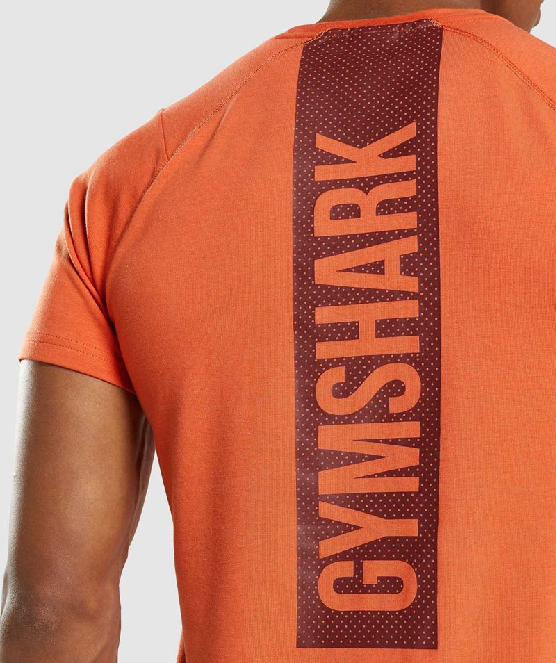 Men's Gymshark Bold T-Shirts Orange | USA  2381-SBKTA