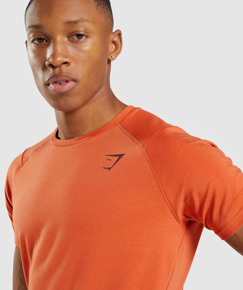 Men's Gymshark Bold T-Shirts Orange | USA  2381-SBKTA