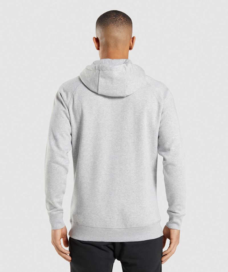 Men's Gymshark Crest Hoodie Light Grey | USA  1983-SGRBA