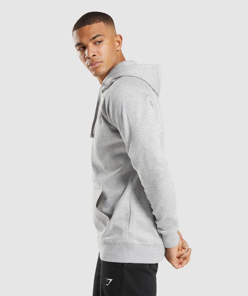 Men's Gymshark Crest Hoodie Light Grey | USA  1983-SGRBA