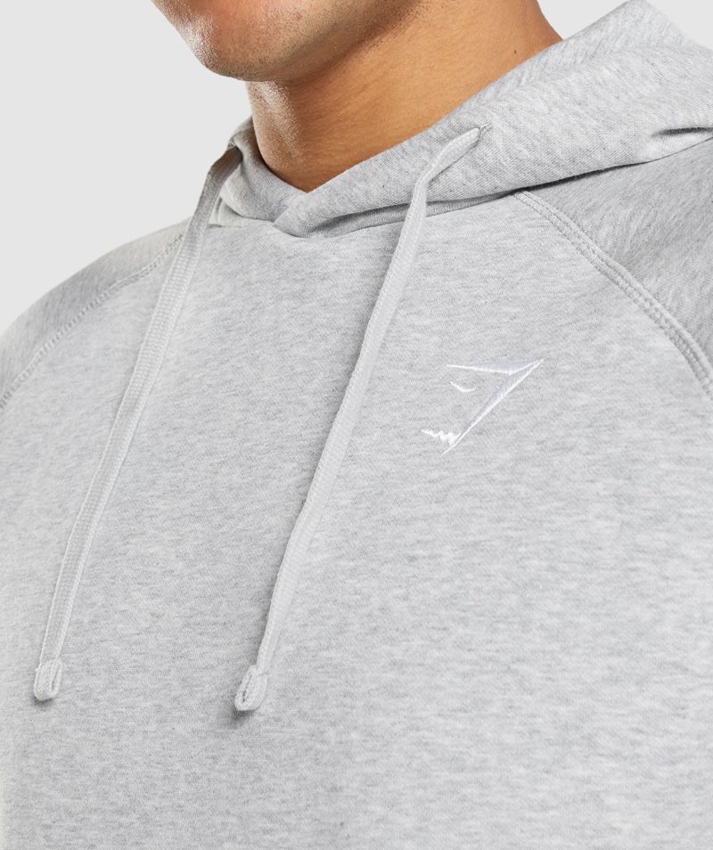 Men's Gymshark Crest Hoodie Light Grey | USA  1983-SGRBA