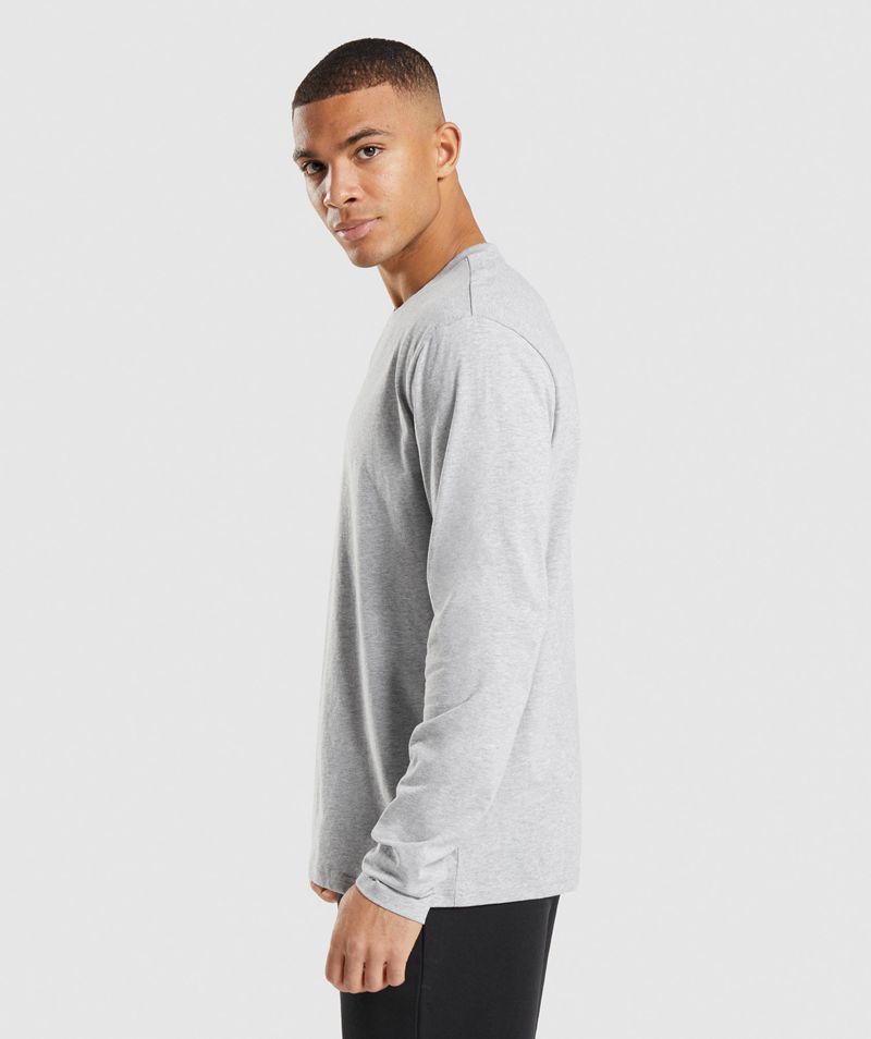 Men's Gymshark Crest Long Sleeve T-Shirts Light Grey | USA  5823-JAXUQ