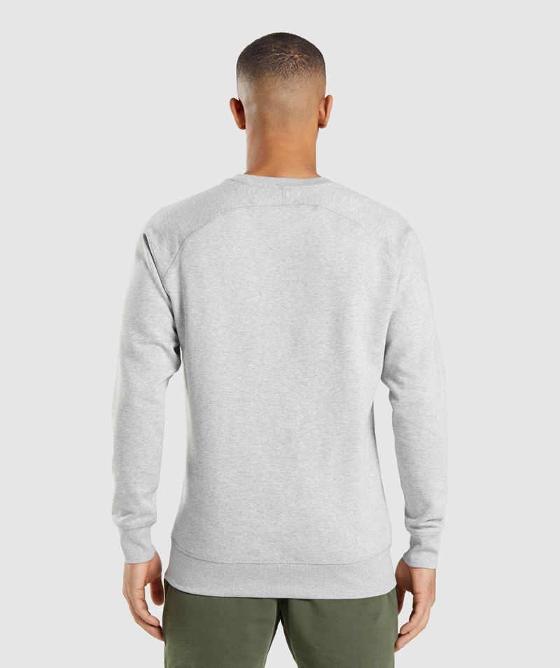 Men's Gymshark Crest Sweatshirts Light Grey | USA  2079-QXEKP