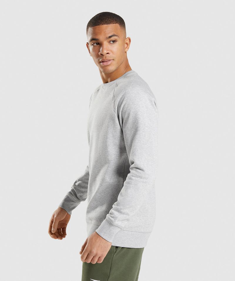 Men's Gymshark Crest Sweatshirts Light Grey | USA  2079-QXEKP