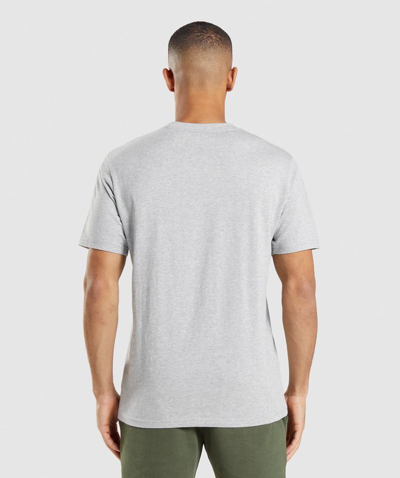 Men's Gymshark Crest T-Shirts Light Grey | USA  4201-FSHZI