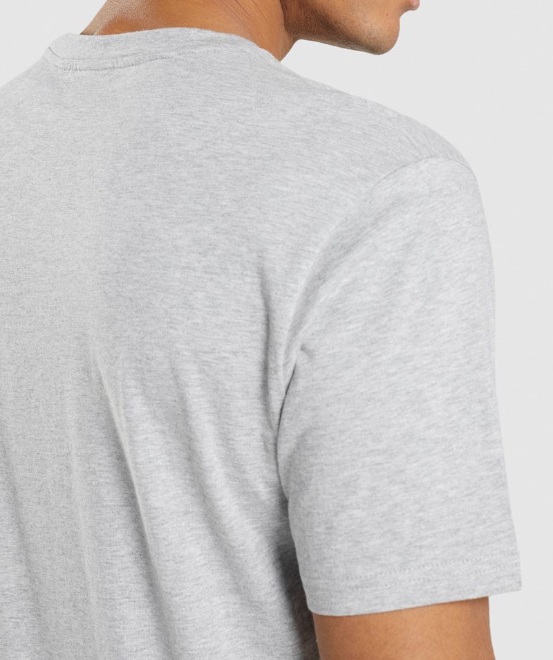 Men's Gymshark Crest T-Shirts Light Grey | USA  4201-FSHZI