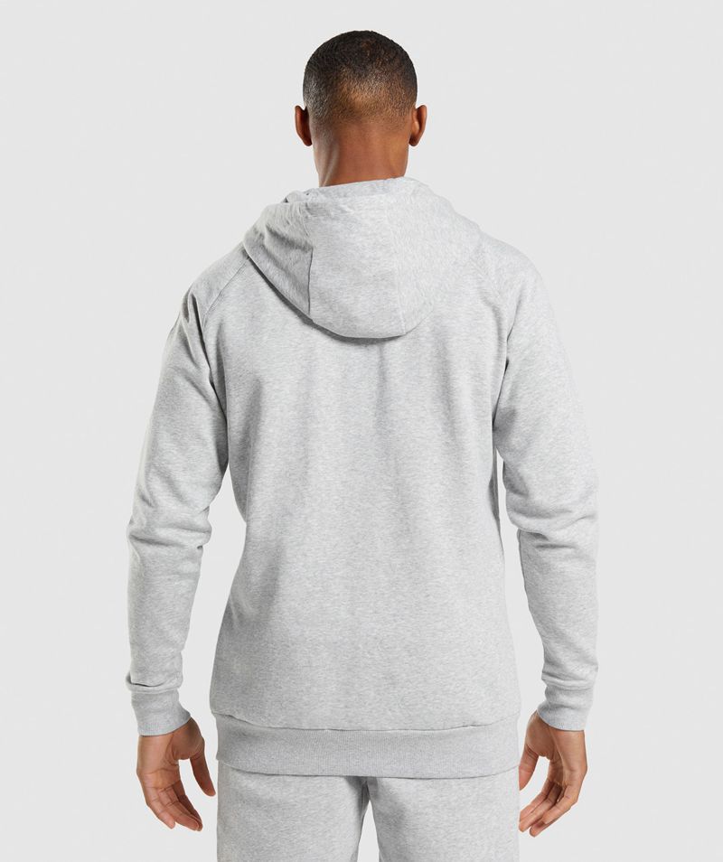 Men's Gymshark Crest Zip Up Hoodie Light Grey | USA  8576-YJQBX