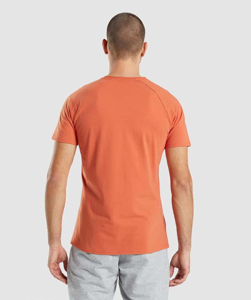 Men's Gymshark Critical T-Shirts Orange | USA  2596-AYZDJ