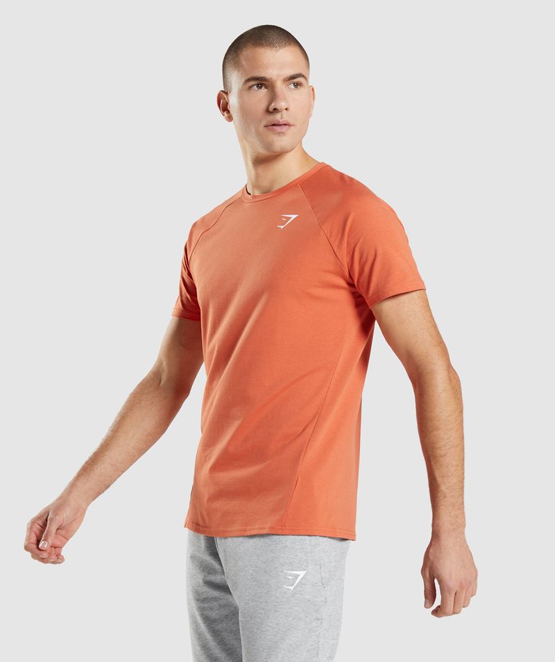 Men's Gymshark Critical T-Shirts Orange | USA  2596-AYZDJ