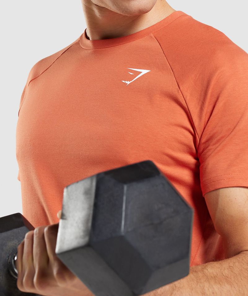 Men's Gymshark Critical T-Shirts Orange | USA  2596-AYZDJ