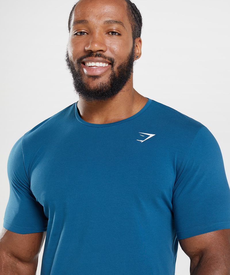 Men's Gymshark Essential T-Shirts Blue | USA  2180-GIVCL