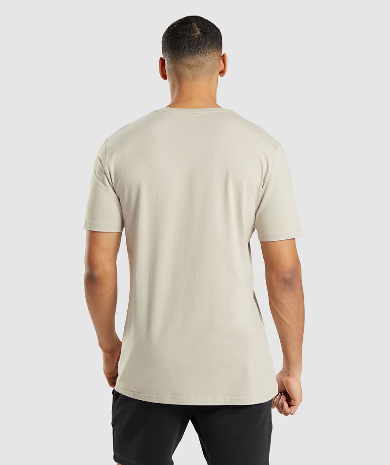 Men's Gymshark Essential T-Shirts Grey | USA  6270-TORDP