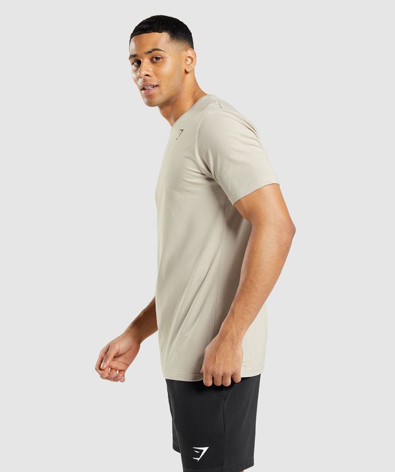 Men's Gymshark Essential T-Shirts Grey | USA  6270-TORDP