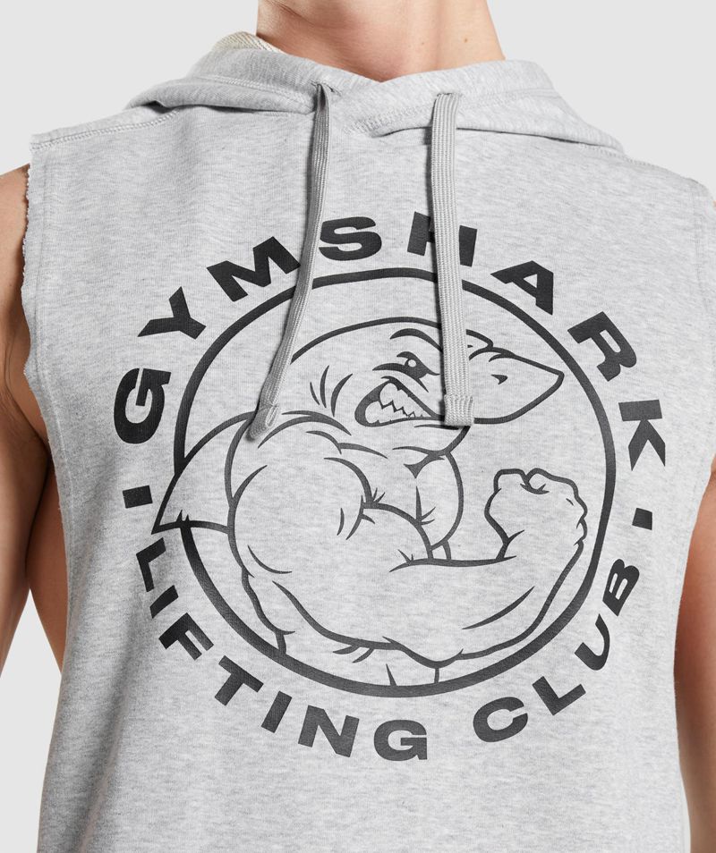 Men's Gymshark Legacy Drop Arm Hoodie Light Grey | USA  5267-UOWBZ