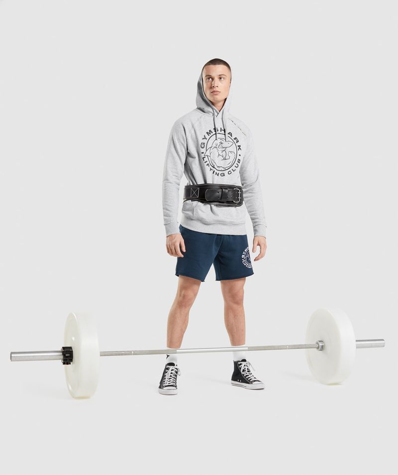 Men's Gymshark Legacy Hoodie Light Grey | USA  7586-DHCNR