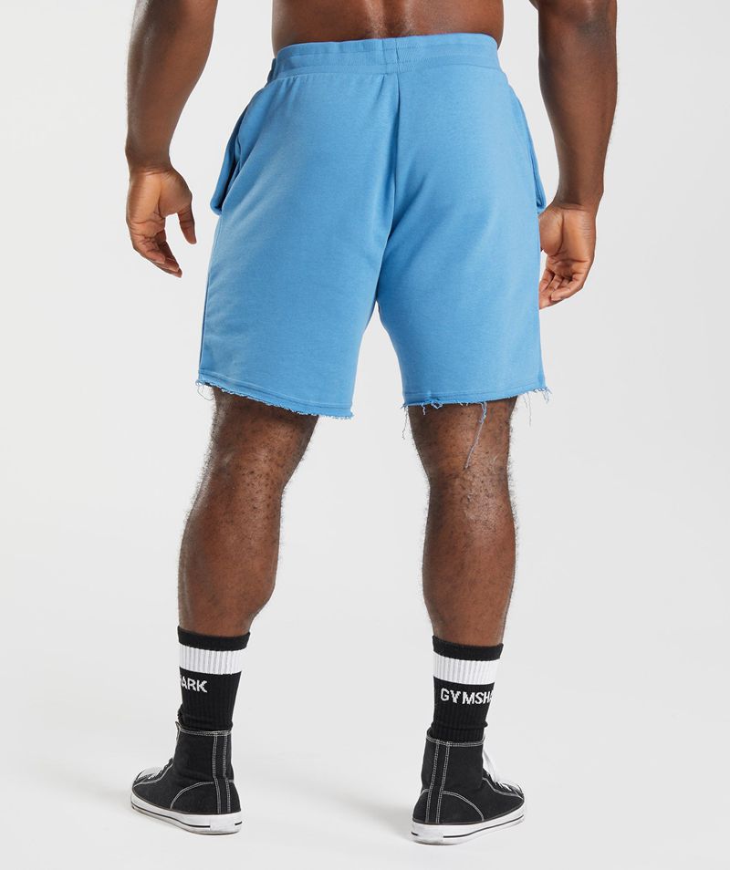 Men's Gymshark Legacy Shorts Blue | USA  7905-XMHPY