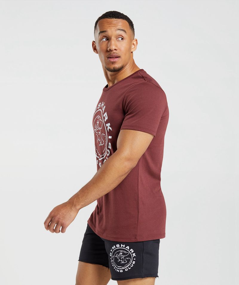 Men's Gymshark Legacy T-Shirts Burgundy | USA  7840-ZXWBM