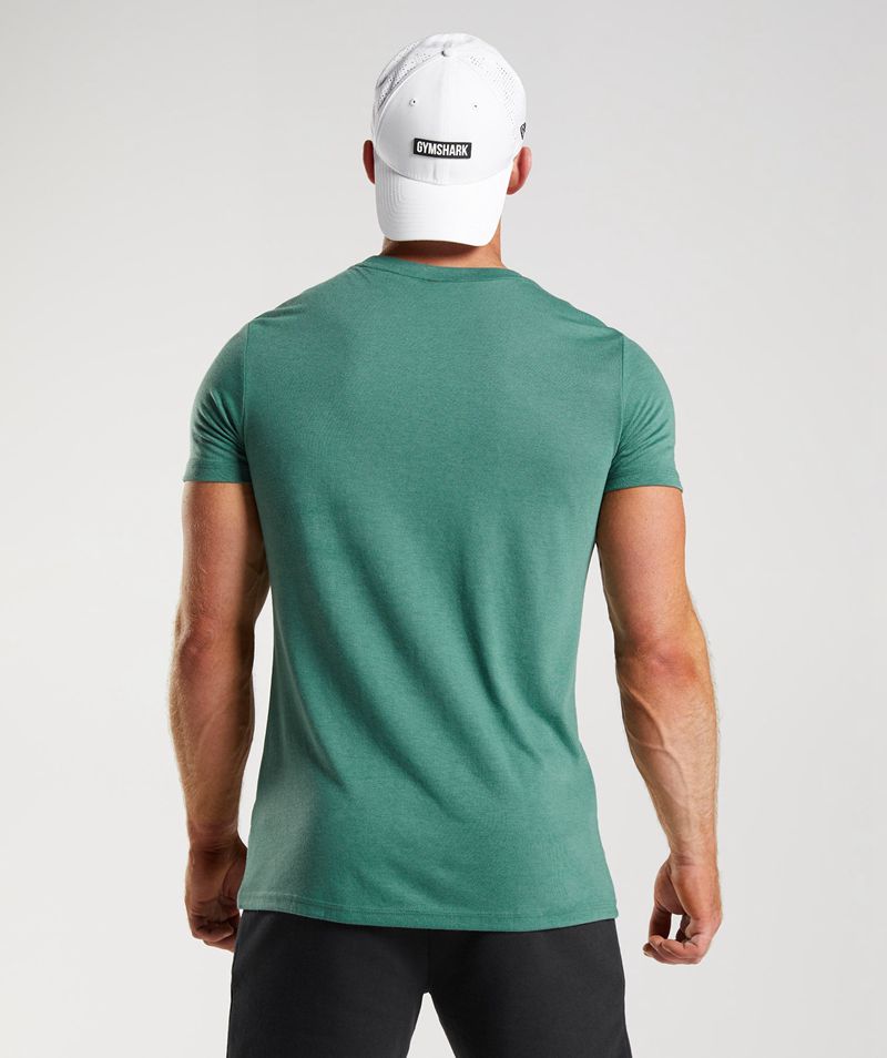 Men's Gymshark Legacy T-Shirts Green | USA  1958-JZYML