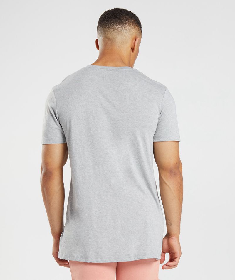 Men's Gymshark Legacy T-Shirts Light Grey | USA  9683-ETFDP