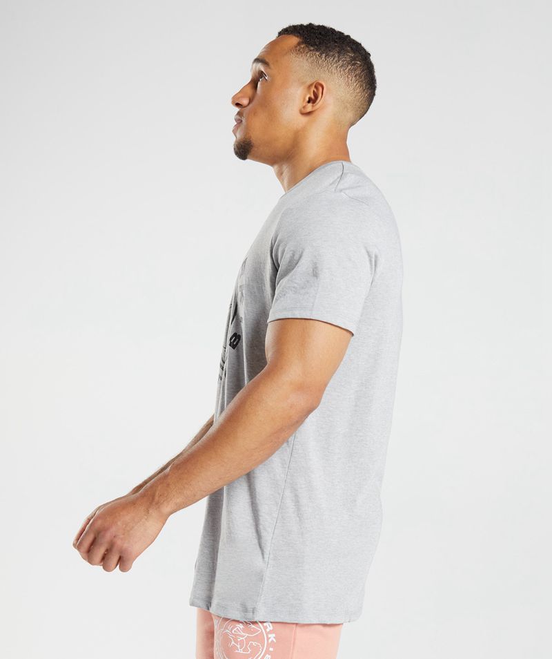 Men's Gymshark Legacy T-Shirts Light Grey | USA  9683-ETFDP