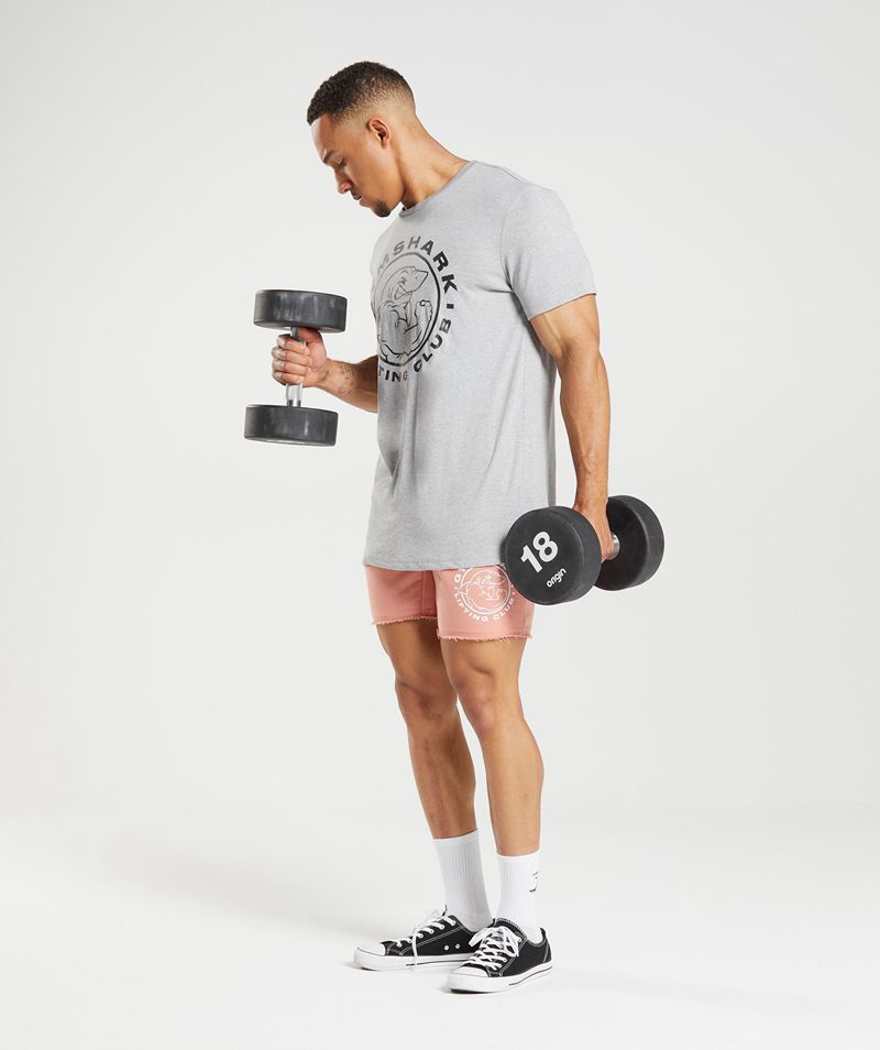 Men's Gymshark Legacy T-Shirts Light Grey | USA  9683-ETFDP