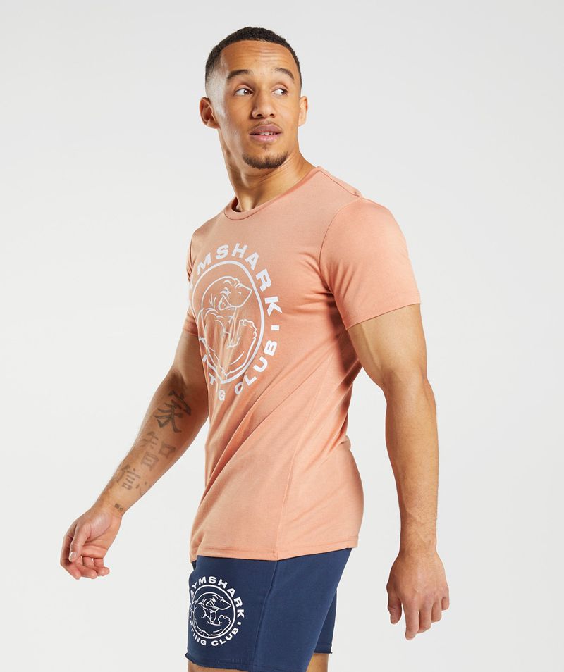 Men's Gymshark Legacy T-Shirts Pink | USA  4013-XNZRL