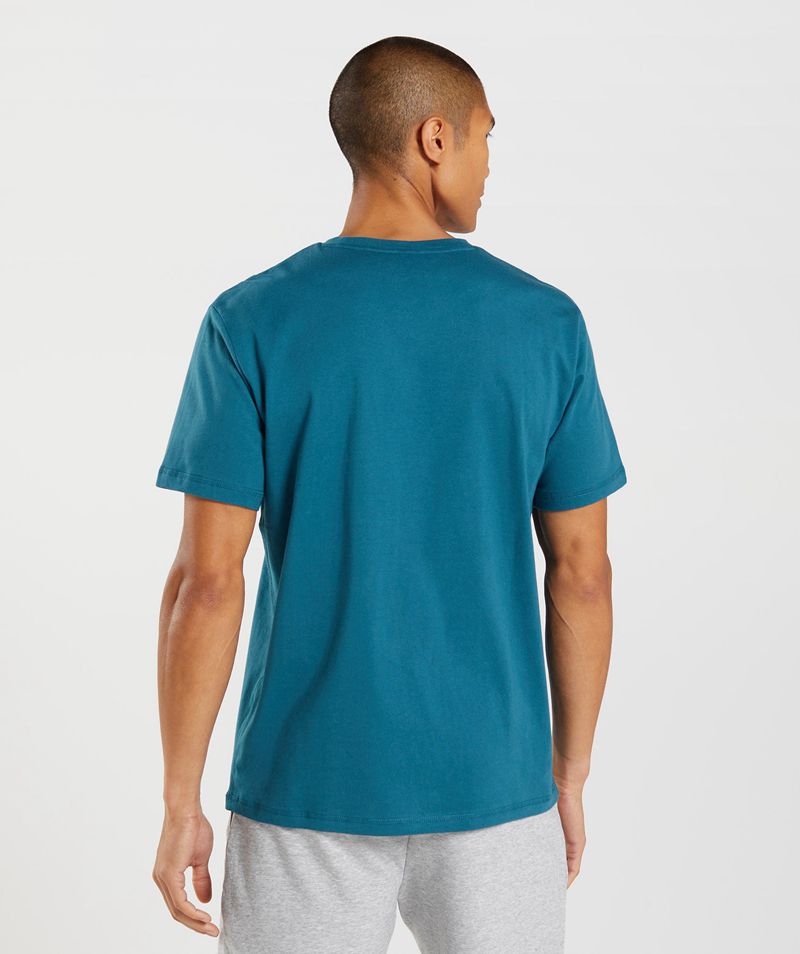 Men's Gymshark Sharkhead Infill T-Shirts Blue | USA  6748-FDIXH