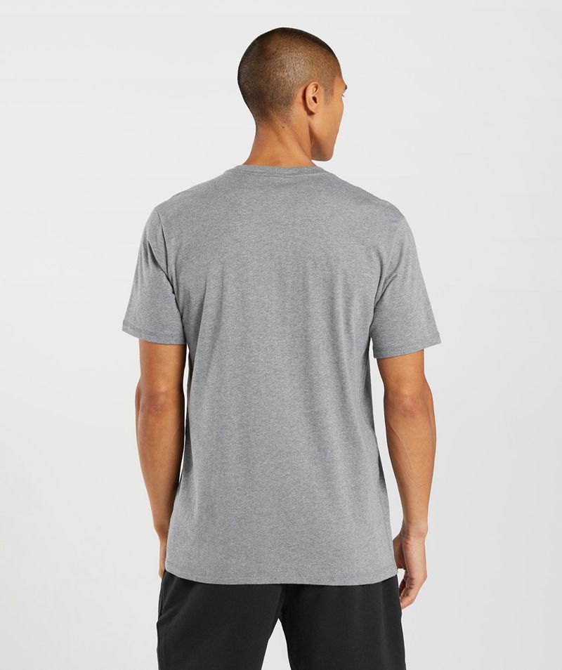 Men's Gymshark Sharkhead Infill T-Shirts Grey | USA  8250-LPFIQ