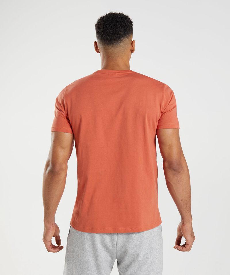 Men's Gymshark Sharkhead Infill T-Shirts Red | USA  8320-QIKAF