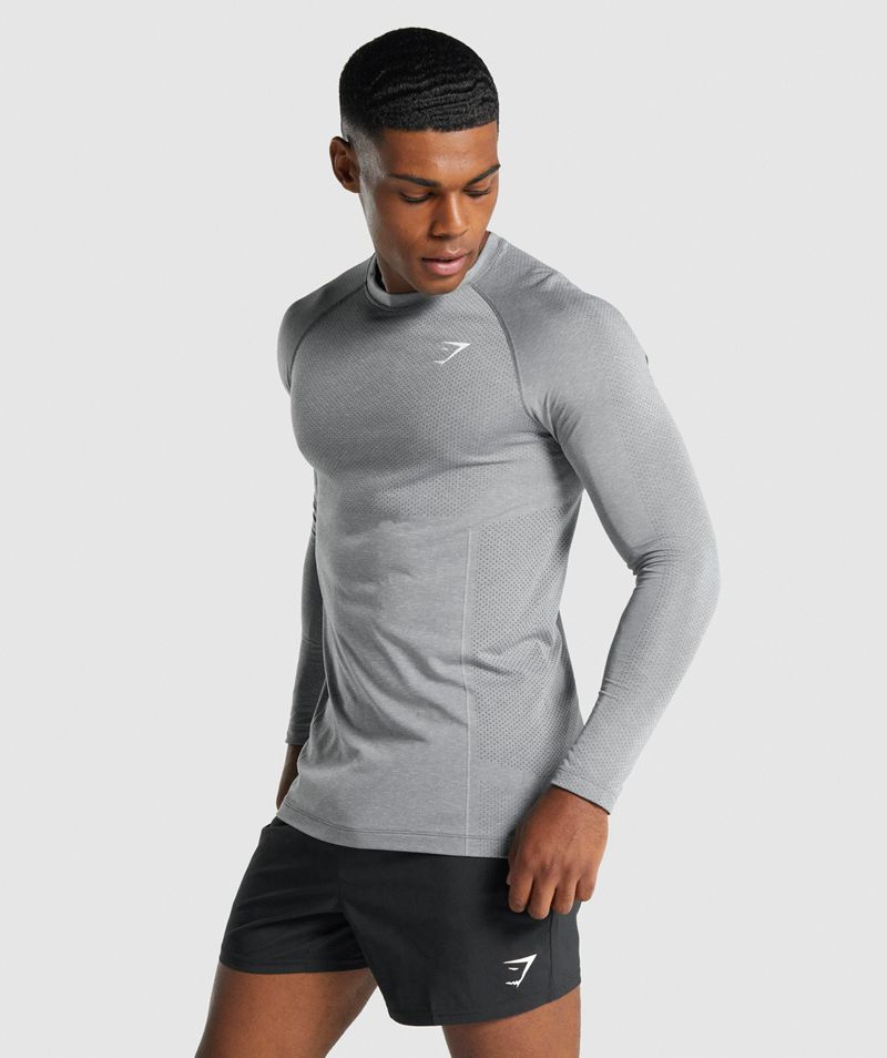 Men's Gymshark Vital Light Seamless Long Sleeve T-Shirts Grey | USA  9541-SNYAJ