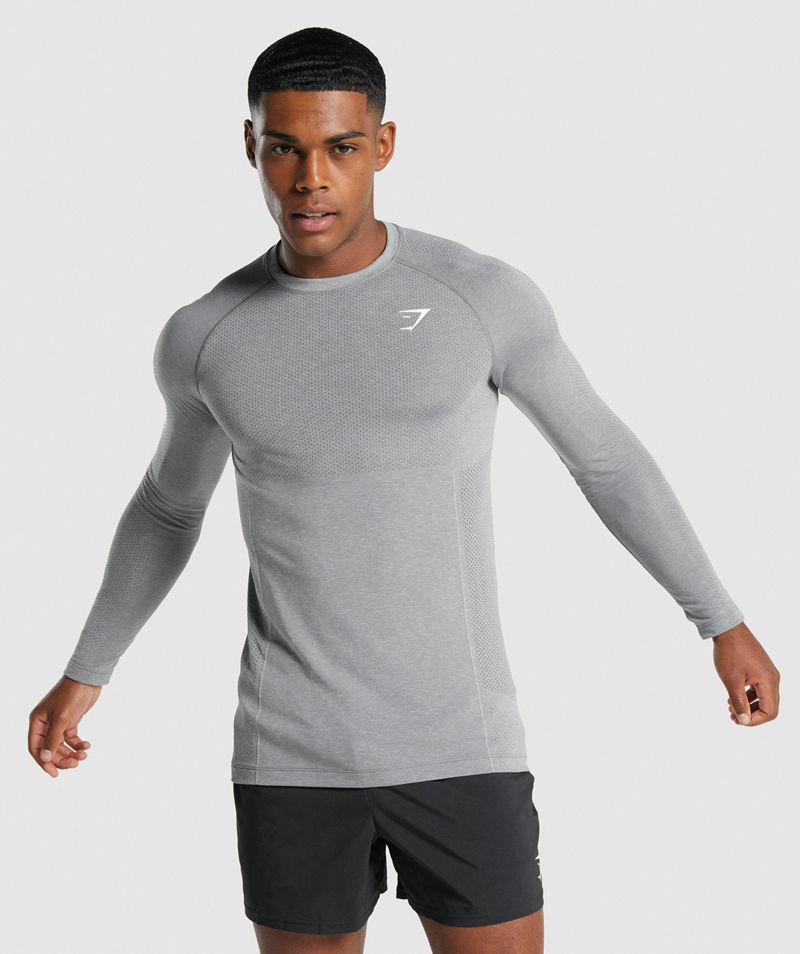 Men\'s Gymshark Vital Light Seamless Long Sleeve T-Shirts Grey | USA  9541-SNYAJ