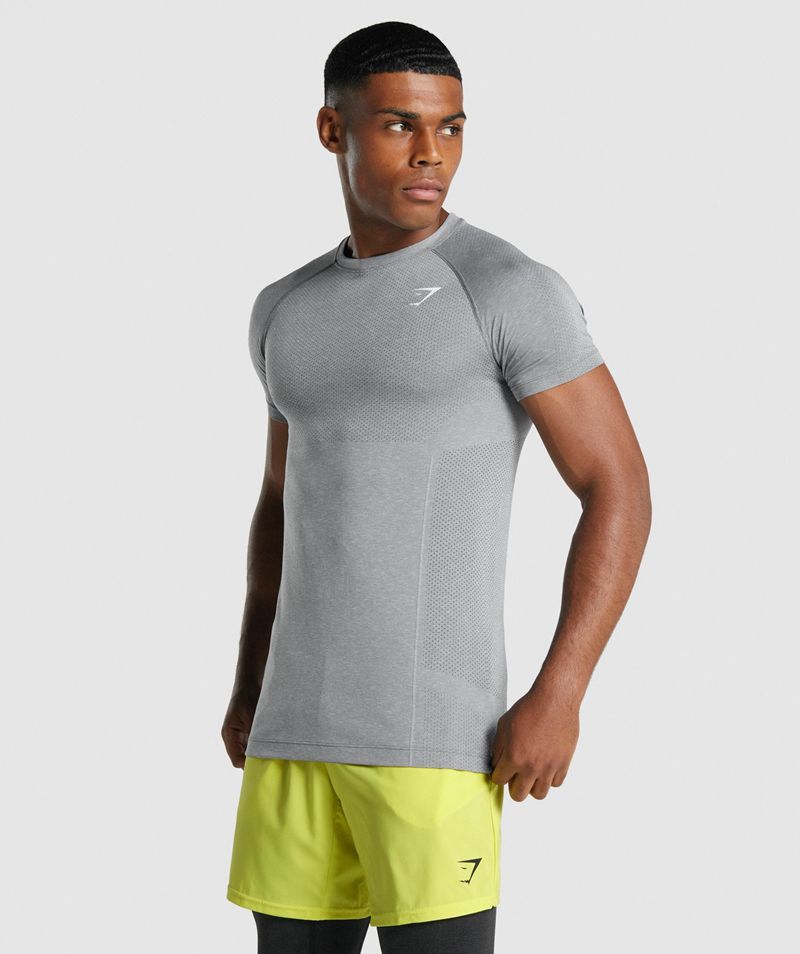 Men's Gymshark Vital Light Seamless T-Shirts Grey | USA  0432-WKDEJ