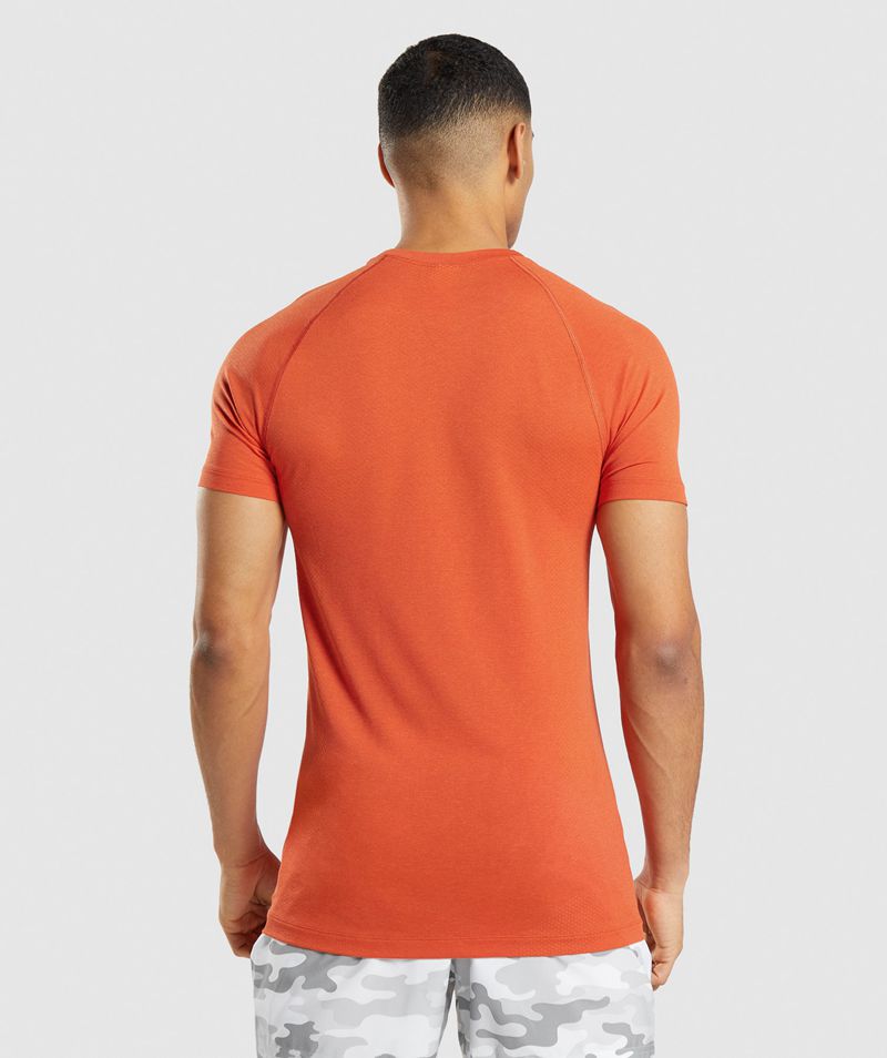 Men's Gymshark Vital Light Seamless T-Shirts Orange | USA  8317-TIBQG