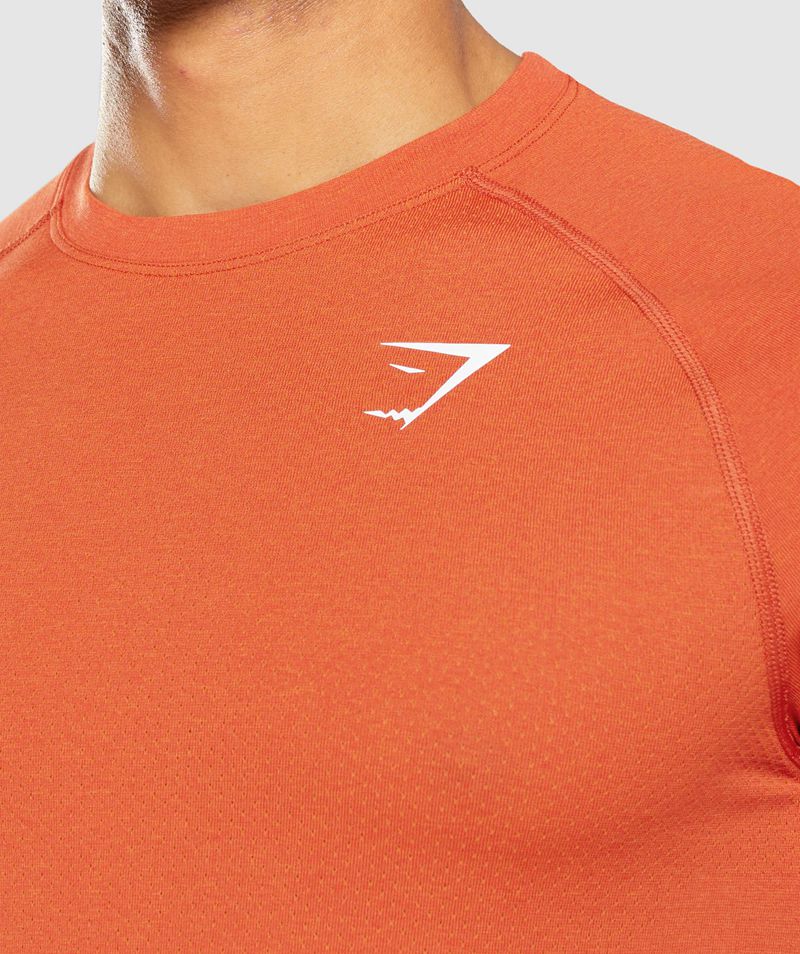 Men's Gymshark Vital Light Seamless T-Shirts Orange | USA  8317-TIBQG