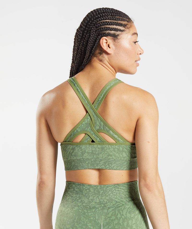 Women's Gymshark Adapt Animal Seamless Sports Bra Green | USA  0478-KXQRF