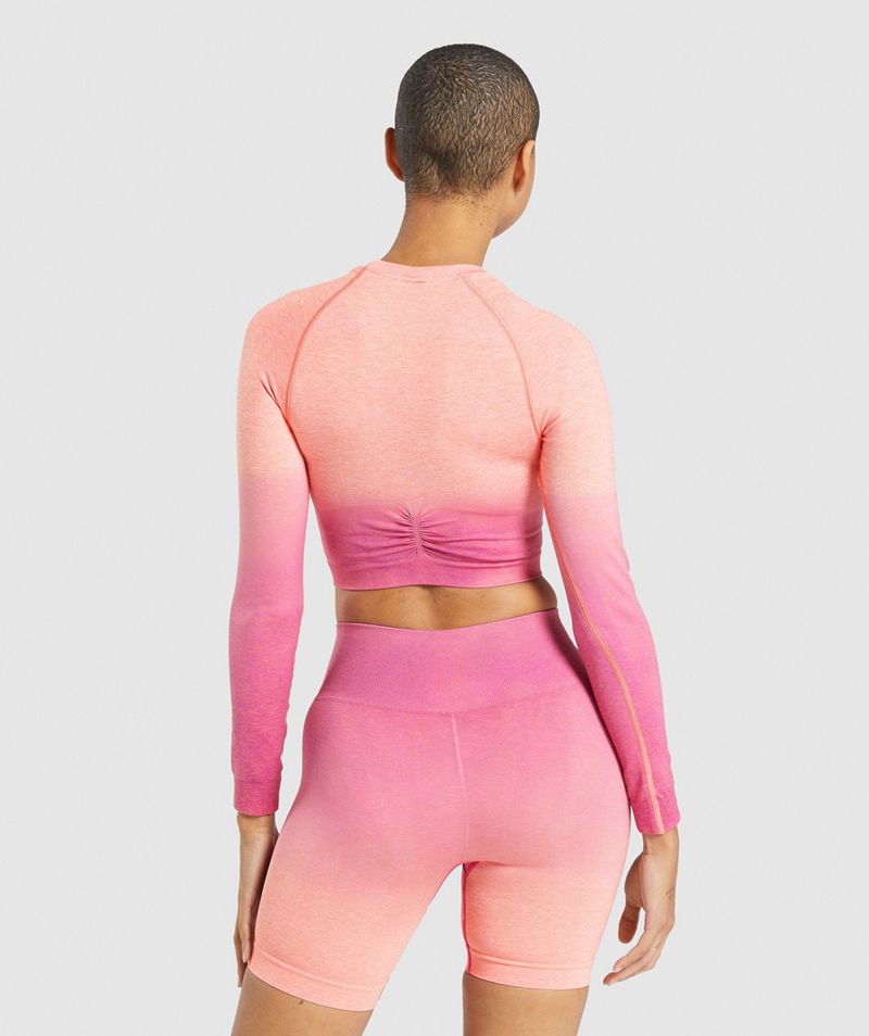 Women's Gymshark Adapt Ombre Seamless Long Sleeve Crop Tops Pink | USA  4681-NXOSK