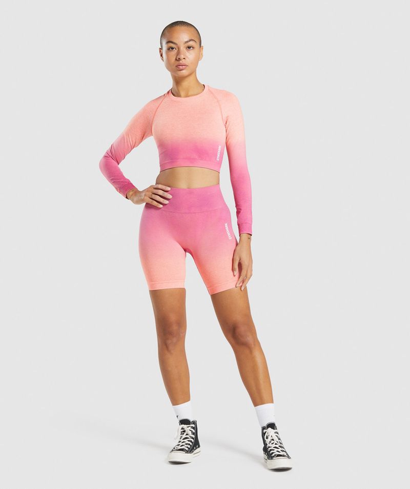 Women's Gymshark Adapt Ombre Seamless Long Sleeve Crop Tops Pink | USA  4681-NXOSK