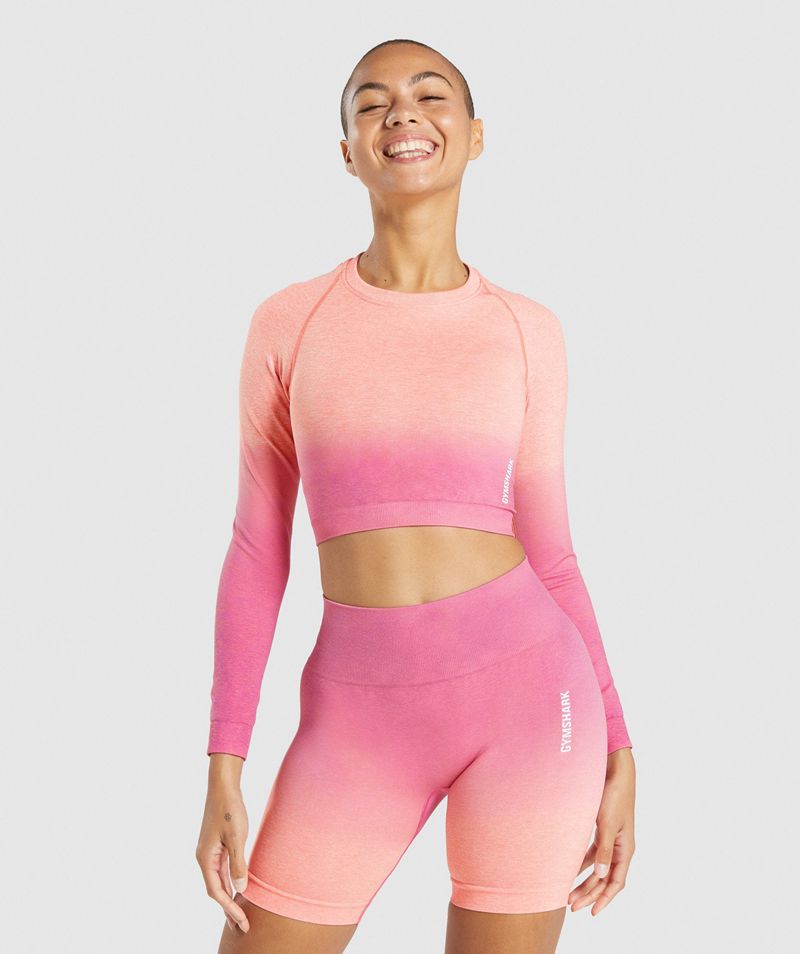 Women\'s Gymshark Adapt Ombre Seamless Long Sleeve Crop Tops Pink | USA  4681-NXOSK