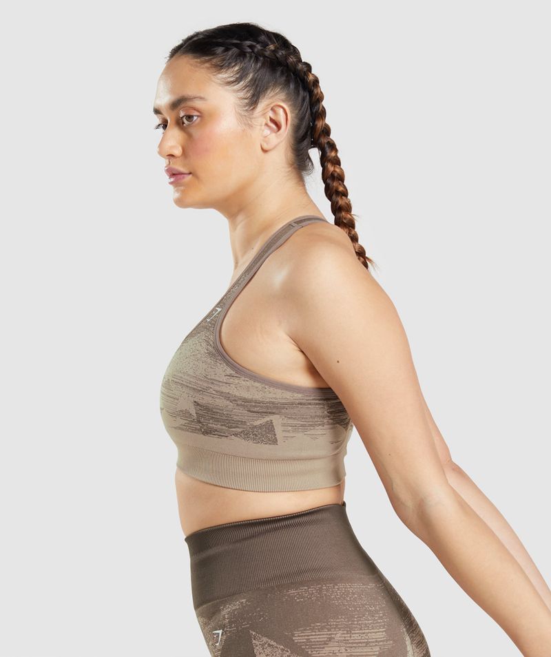 Women's Gymshark Adapt Ombre Seamless Sports Bra Brown | USA  1437-YVAOR