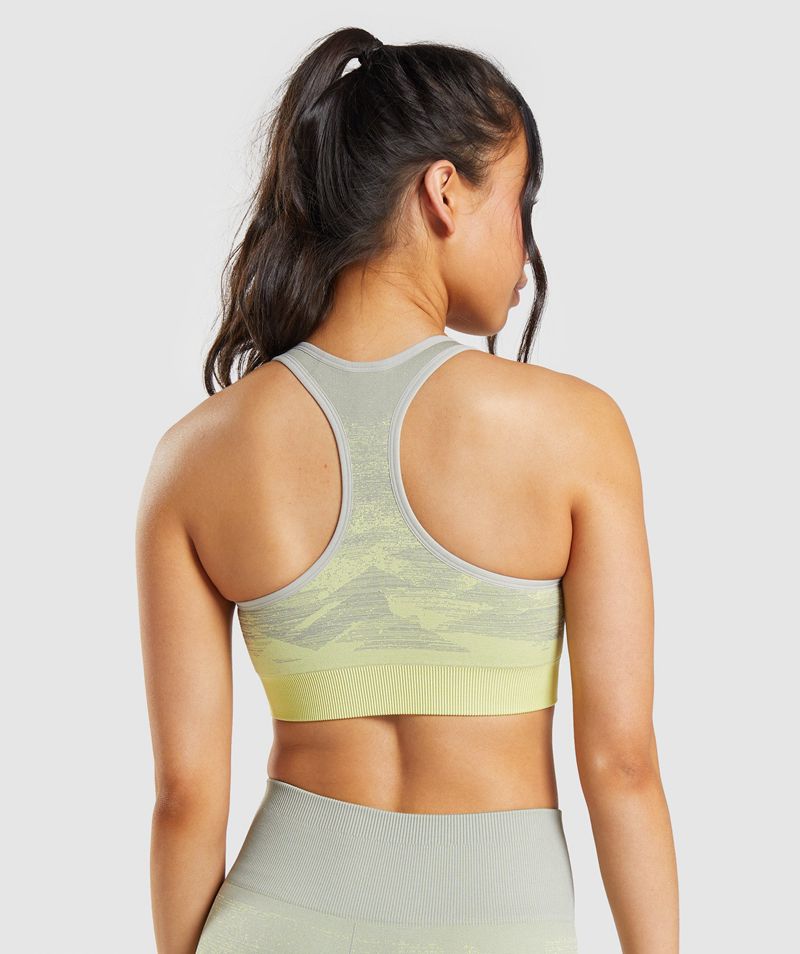 Women's Gymshark Adapt Ombre Seamless Sports Bra Grey | USA  2180-GVUPI