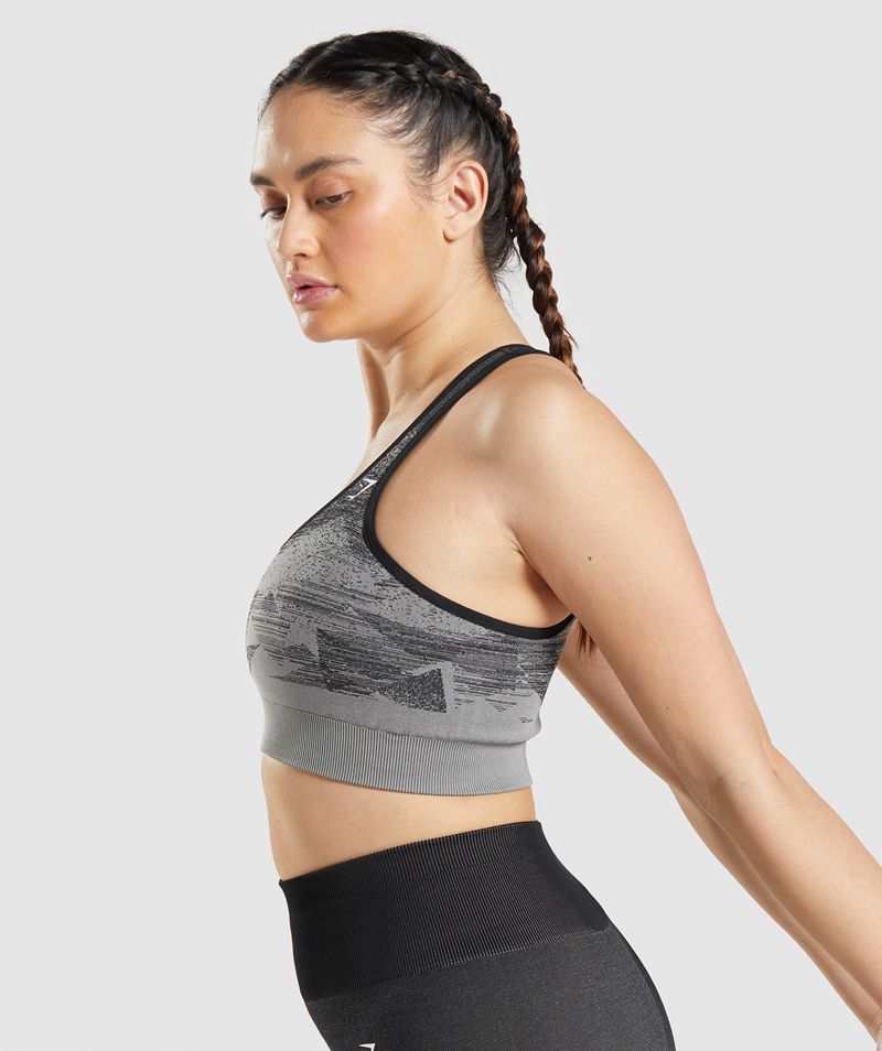 Women's Gymshark Adapt Ombre Seamless Sports Bra Black | USA  3814-XQGHA