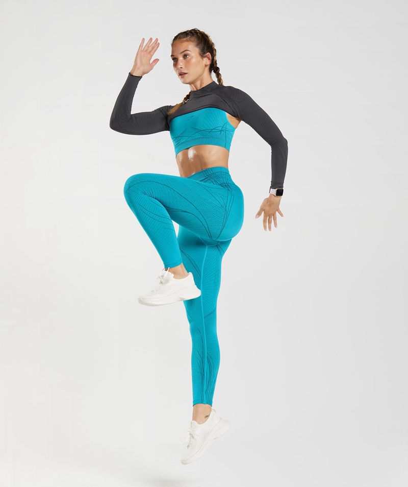 Women's Gymshark Apex Seamless Leggings Blue | USA  0958-IPLRE