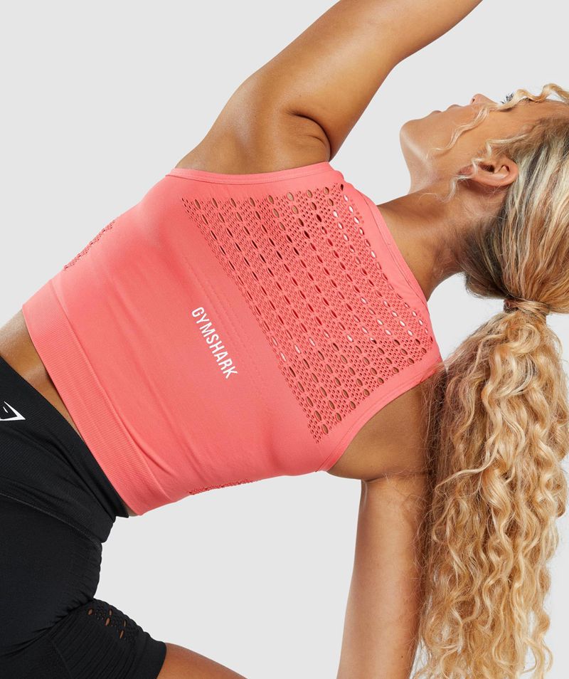 Women's Gymshark Energy Seamless Crop Tops Pink | USA  9718-HOIFZ