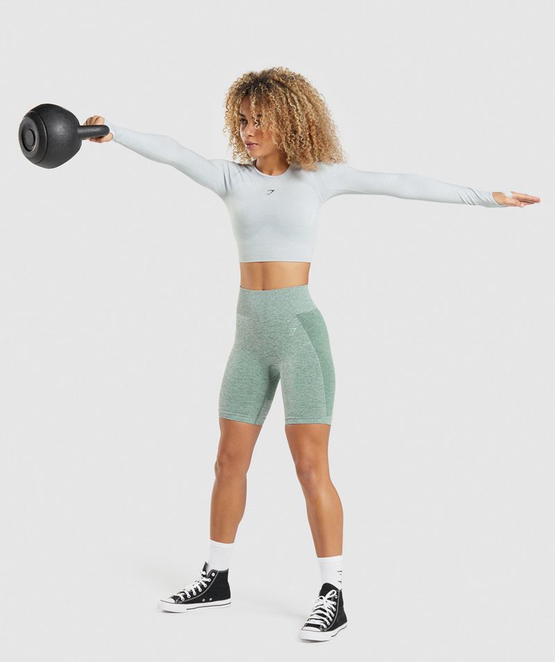 Women's Gymshark Flex Sports Long Sleeve Crop Tops Light Grey | USA  1708-HUFNY