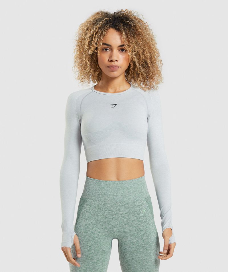 Women\'s Gymshark Flex Sports Long Sleeve Crop Tops Light Grey | USA  1708-HUFNY